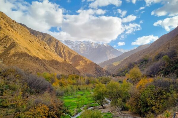 Excursion to Ourika Valley: Waterfalls & Berber Villages from Marrakech